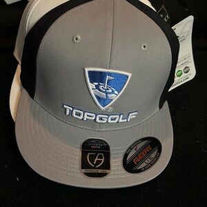 Topgolf Grey & Black Logo Flexfit Cap